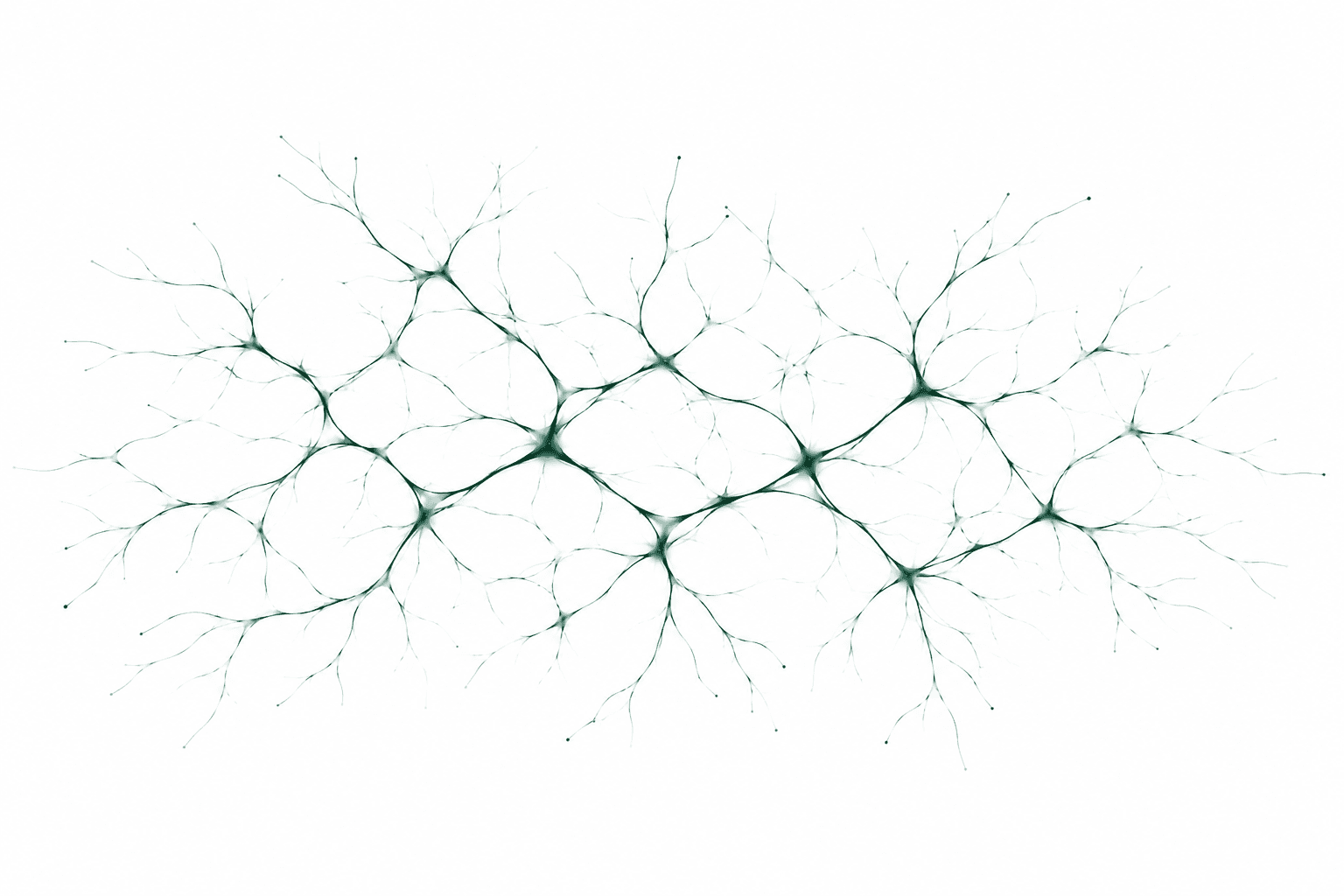 Synchronity's connected commerce mesh